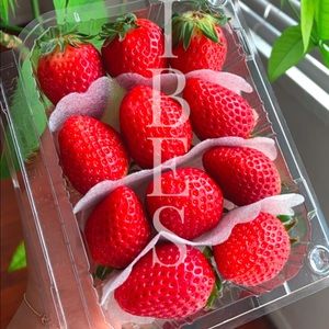 Meet your Posher, Shayda